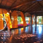 Yoga Land